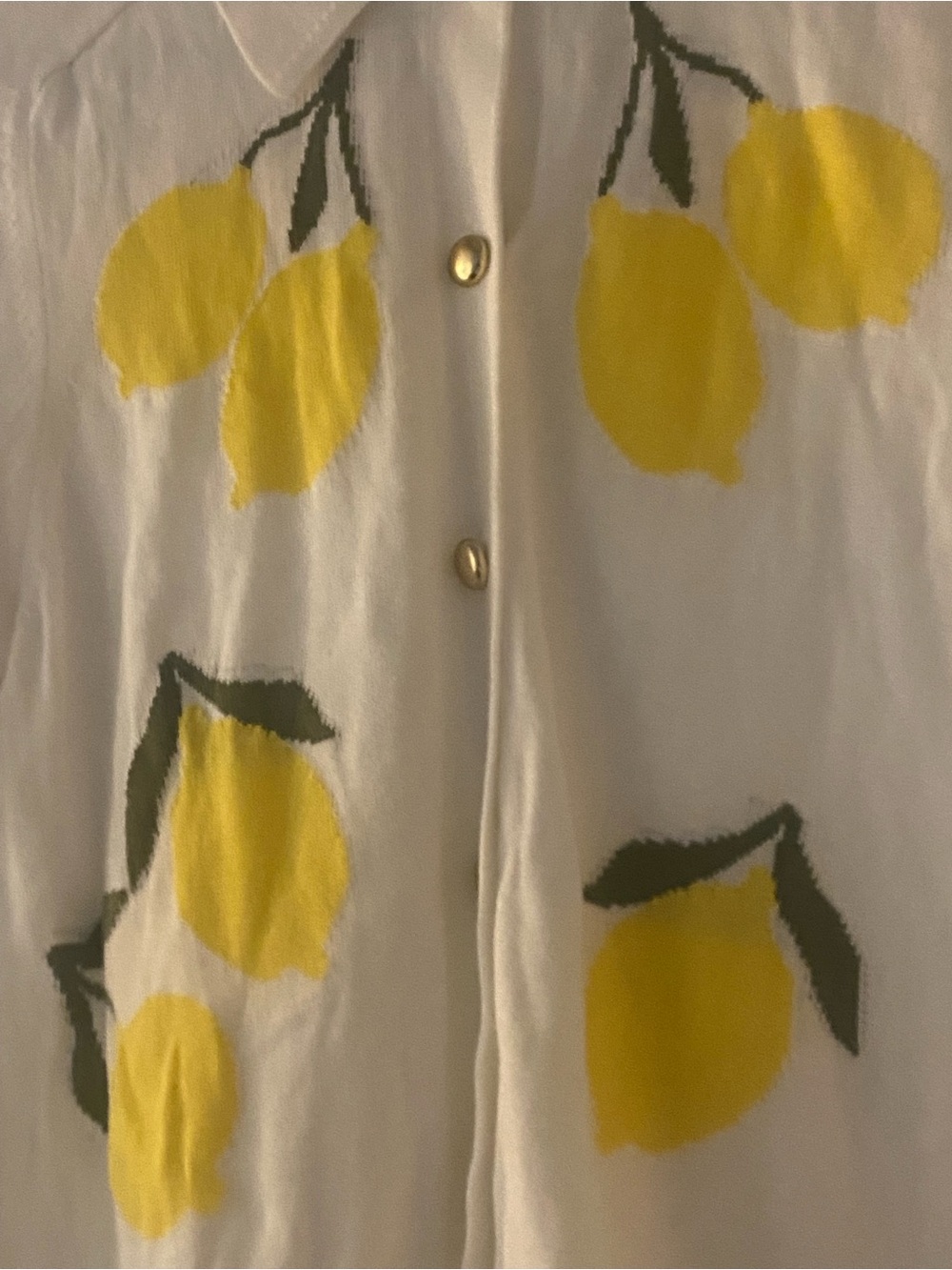 Free Assembly Lemon Print Cardigan Sweater - Picture 5 of 9